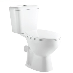 Two-Piece Toilet P-Trap