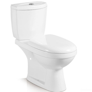 Classic Washdown Two Piece Toilet