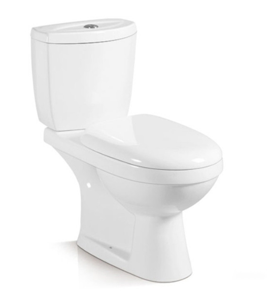 Two-Piece Washdown Toilet