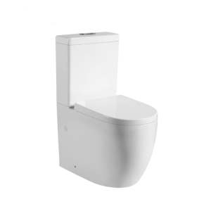 Water close coupled toilet
