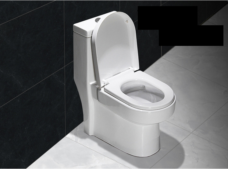 Ceramic Toilet