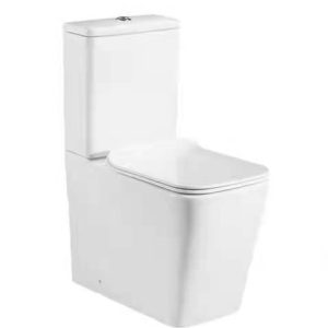 Back To Wall Toilet