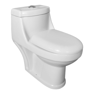 Compact Dual-Flush Single Piece Commode