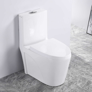 Tornado Flushing One Piece Toilet